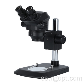 45 grados Microscopio estéreo binocular inclinado